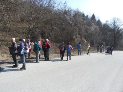 Kliknite za ogled večje slike