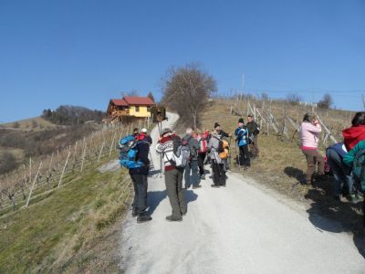 Kliknite za ogled večje slike