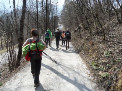 Kliknite za ogled večje slike