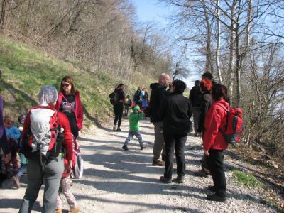 Kliknite za ogled večje slike