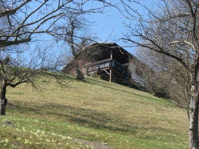 Kliknite za ogled večje slike