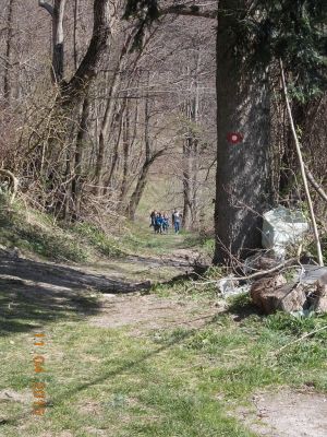 Kliknite za ogled večje slike