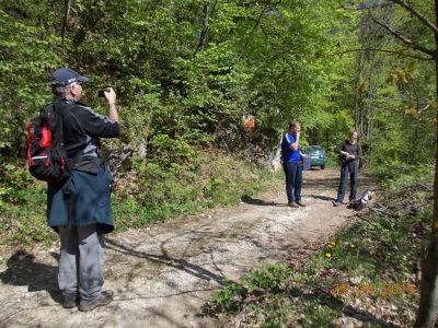 Kliknite za ogled večje slike