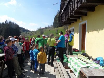 Kliknite za ogled večje slike