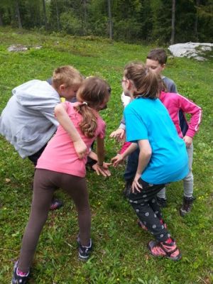 Kliknite za ogled večje slike