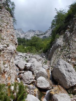 Kliknite za ogled večje slike