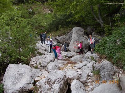 Kliknite za ogled večje slike