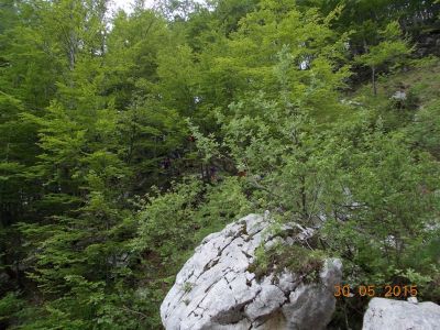Kliknite za ogled večje slike