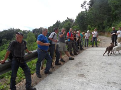 Kliknite za ogled večje slike