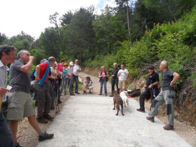 Kliknite za ogled večje slike