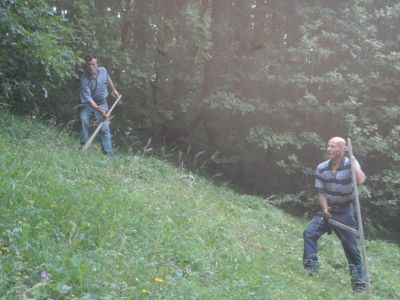 Kliknite za ogled večje slike