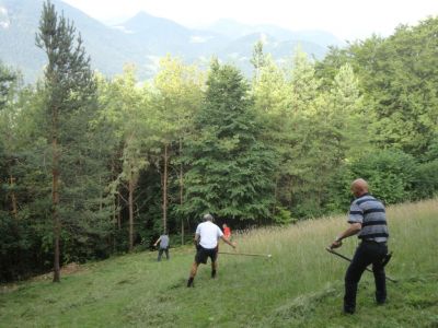 Kliknite za ogled večje slike
