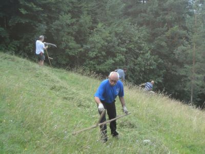 Kliknite za ogled večje slike