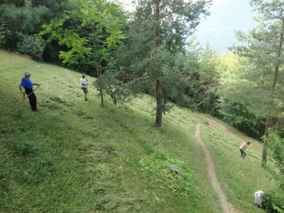 Kliknite za ogled večje slike