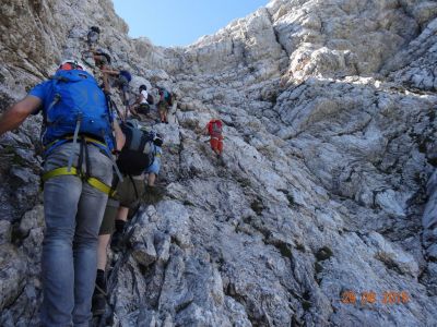 Kliknite za ogled večje slike