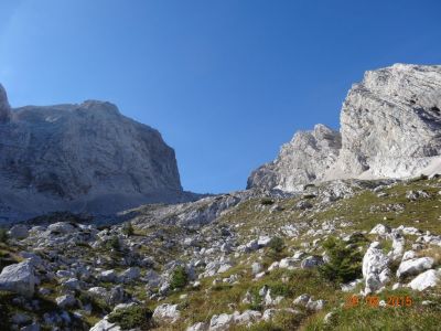 Kliknite za ogled večje slike