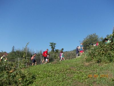 Kliknite za ogled večje slike