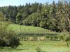 DSCN4229.jpg