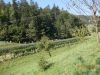 DSCN4230.jpg