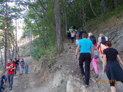 Kliknite za ogled večje slike