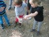 IMG_6547.jpg