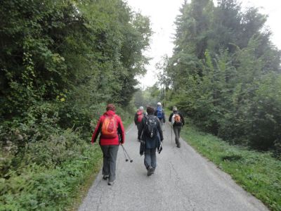 Kliknite za ogled večje slike