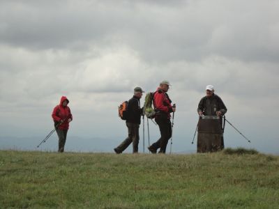 Kliknite za ogled večje slike