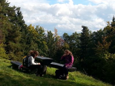 Kliknite za ogled večje slike