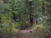DSCN4288.JPG