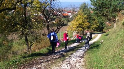 Kliknite za ogled večje slike