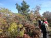 DSC03978.JPG