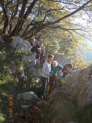 Kliknite za ogled večje slike