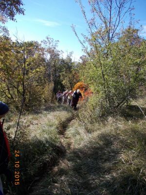 Kliknite za ogled večje slike