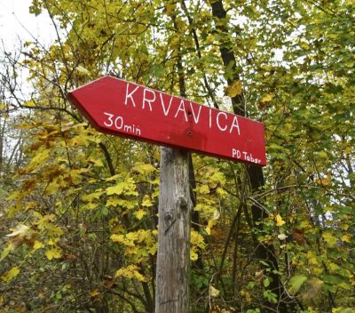 Kliknite za ogled večje slike