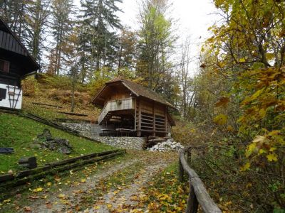 Kliknite za ogled večje slike