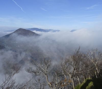 Kliknite za ogled večje slike
