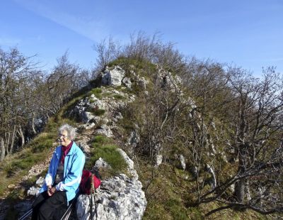 Kliknite za ogled večje slike
