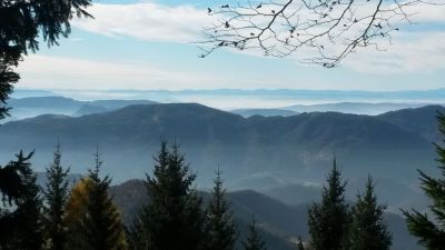 Kliknite za ogled večje slike