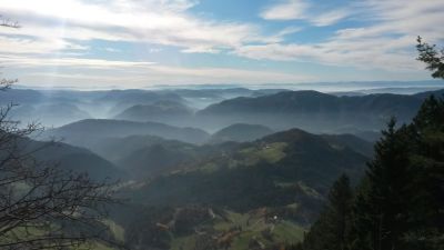 Kliknite za ogled večje slike