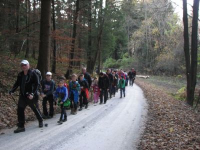 Kliknite za ogled večje slike