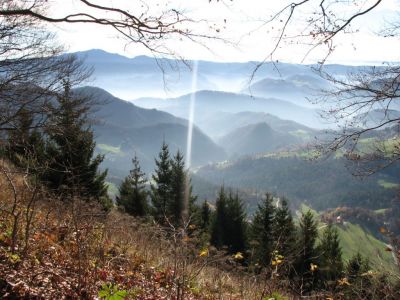 Kliknite za ogled večje slike