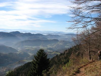 Kliknite za ogled večje slike