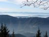 IMG_6586.JPG