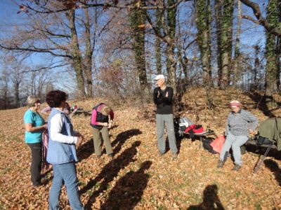 Kliknite za ogled večje slike