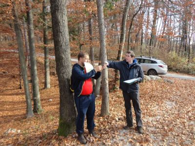 Kliknite za ogled večje slike