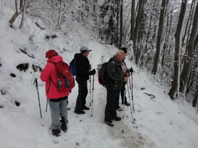 Kliknite za ogled večje slike