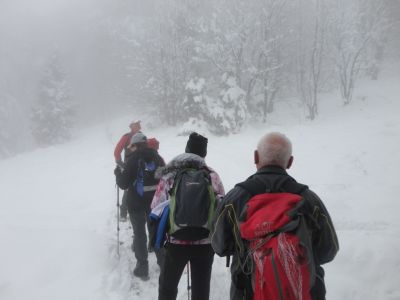 Kliknite za ogled večje slike