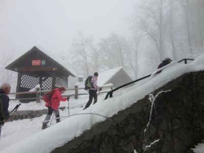 Kliknite za ogled večje slike