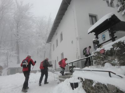 Kliknite za ogled večje slike