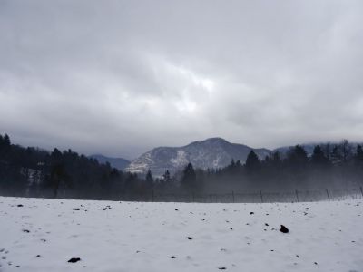 Kliknite za ogled večje slike